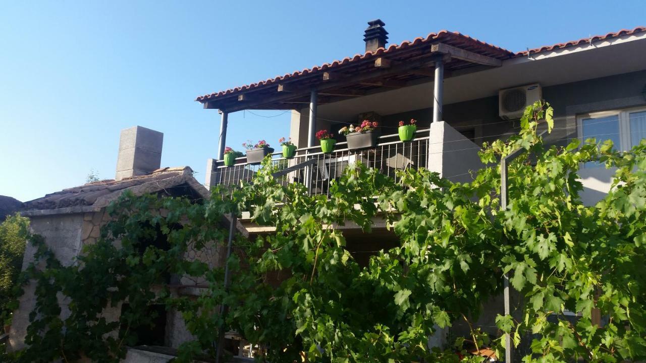 שיבניק Apartment Vice מראה חיצוני תמונה